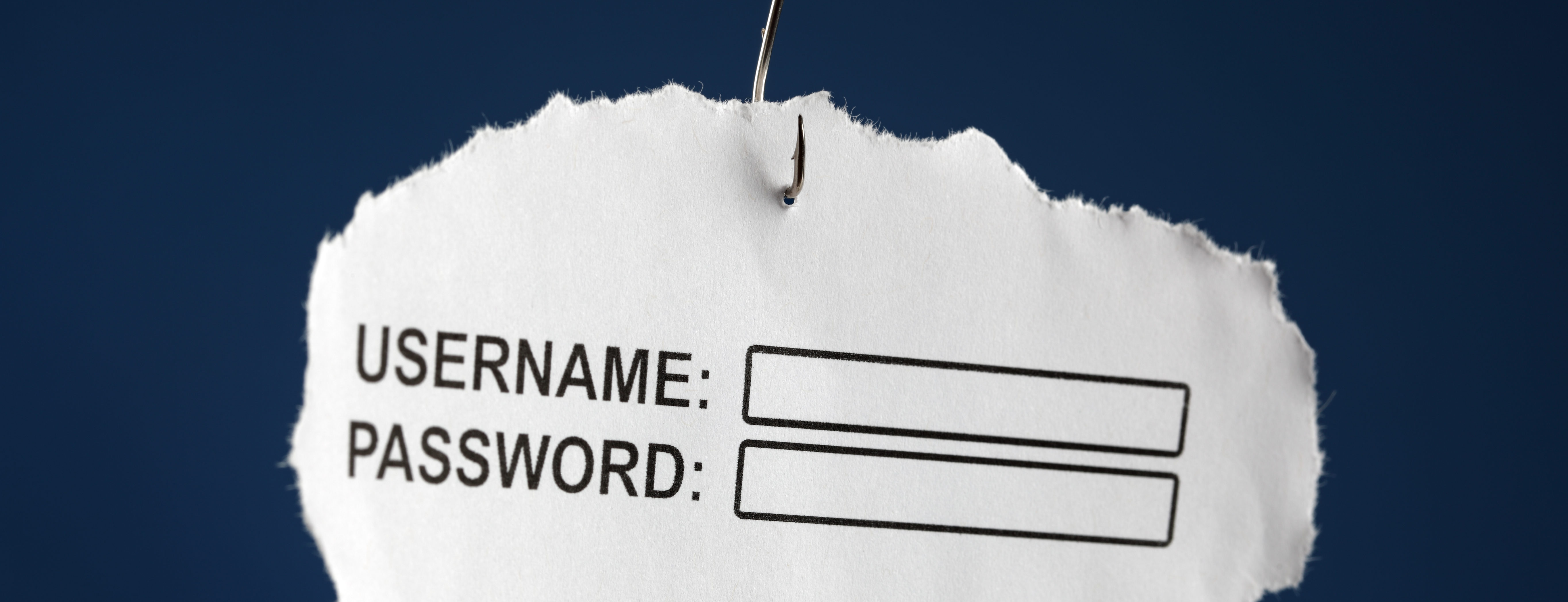 Special Alert: Phishing Scams on the Rise